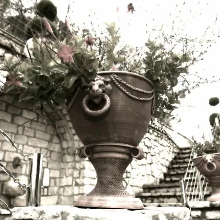 Отель Afkos Grammos Boutique 4*